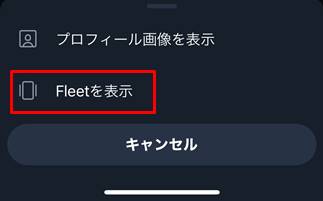 「プロフィール画像を表示」と「Fleetを表示」の2つのボタン